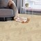 Lucida Surfaces LUCIDA SURFACES, DecoCore White Oak - Sample DC-701SMP - alternate 7